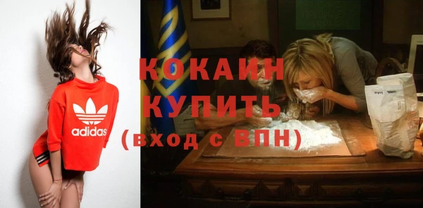 сатива Абинск