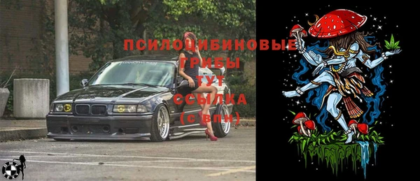 сатива Абинск