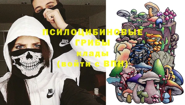 прущая мука Алзамай